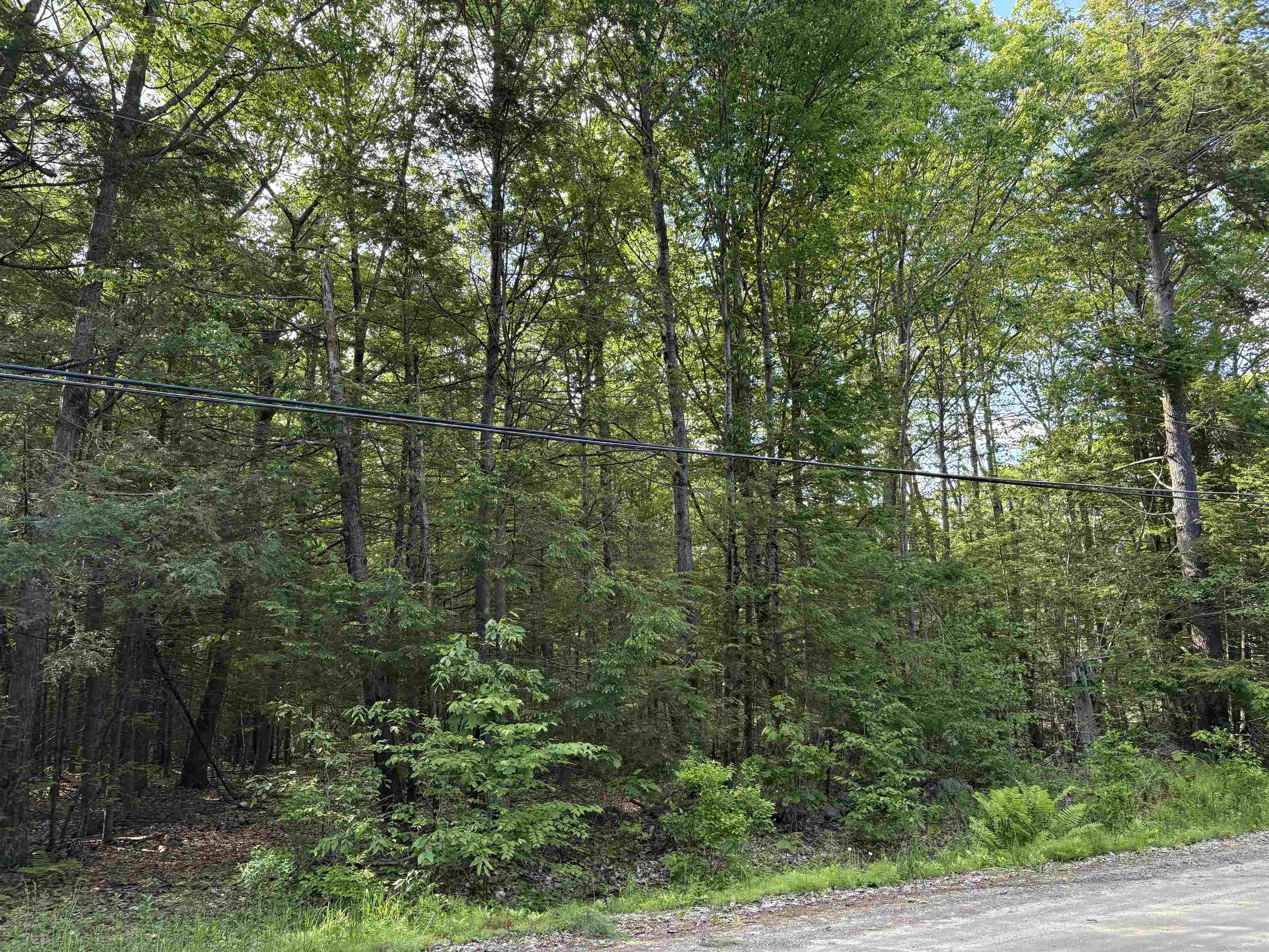 Lot 85 Currier Road Candia, NH 03034 - Photo 1 of 14