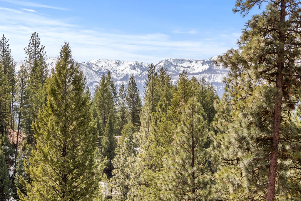 17 Tito Trail, Unit 1 Cascade, ID 83611 - Photo 4 of 16 Zoomed in View of Mountains