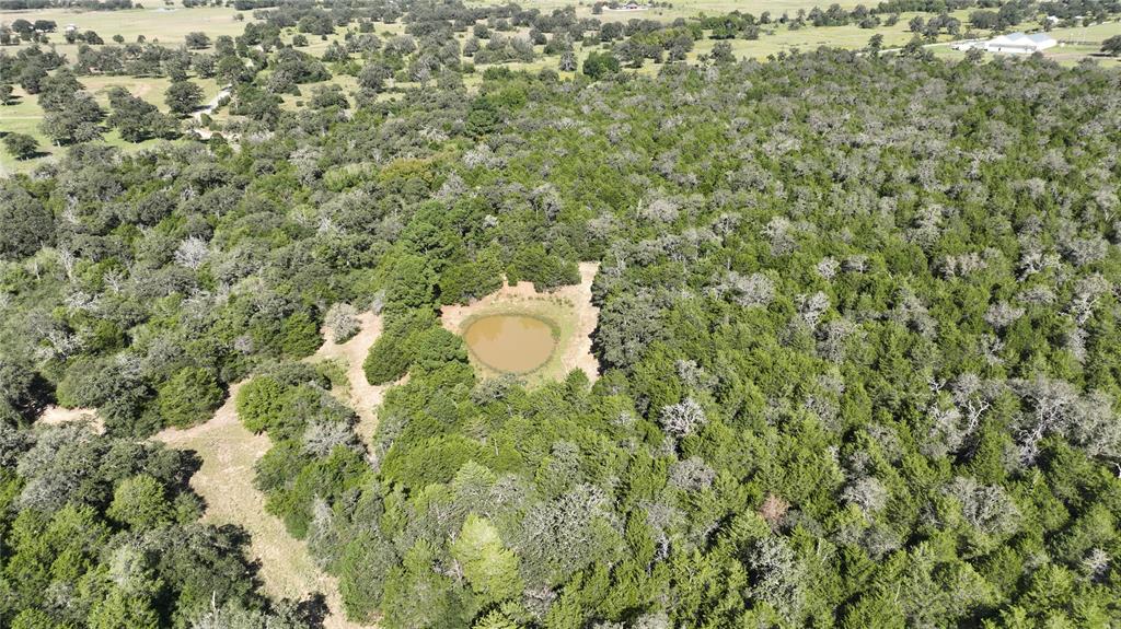 0 Easley Road Smithville, TX 78957 - Photo 4 of 9