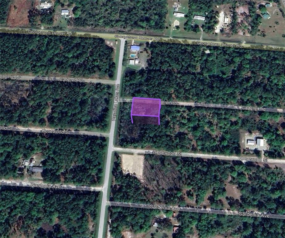 305 Carteret Road Georgetown, FL 32139 - Photo 2 of 11