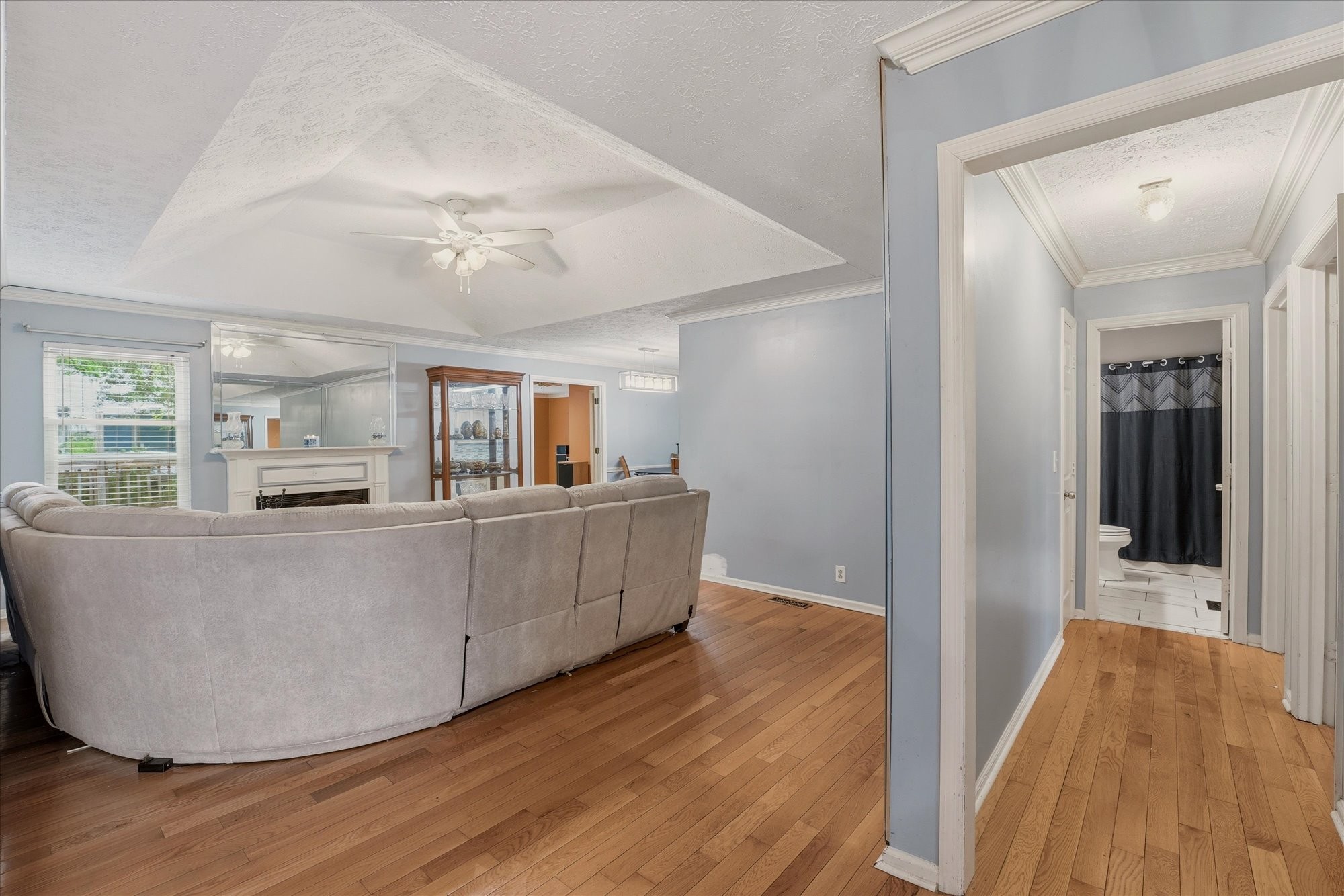 913 High Rigger Court Nashville, TN 37217 - Photo 3 of 10