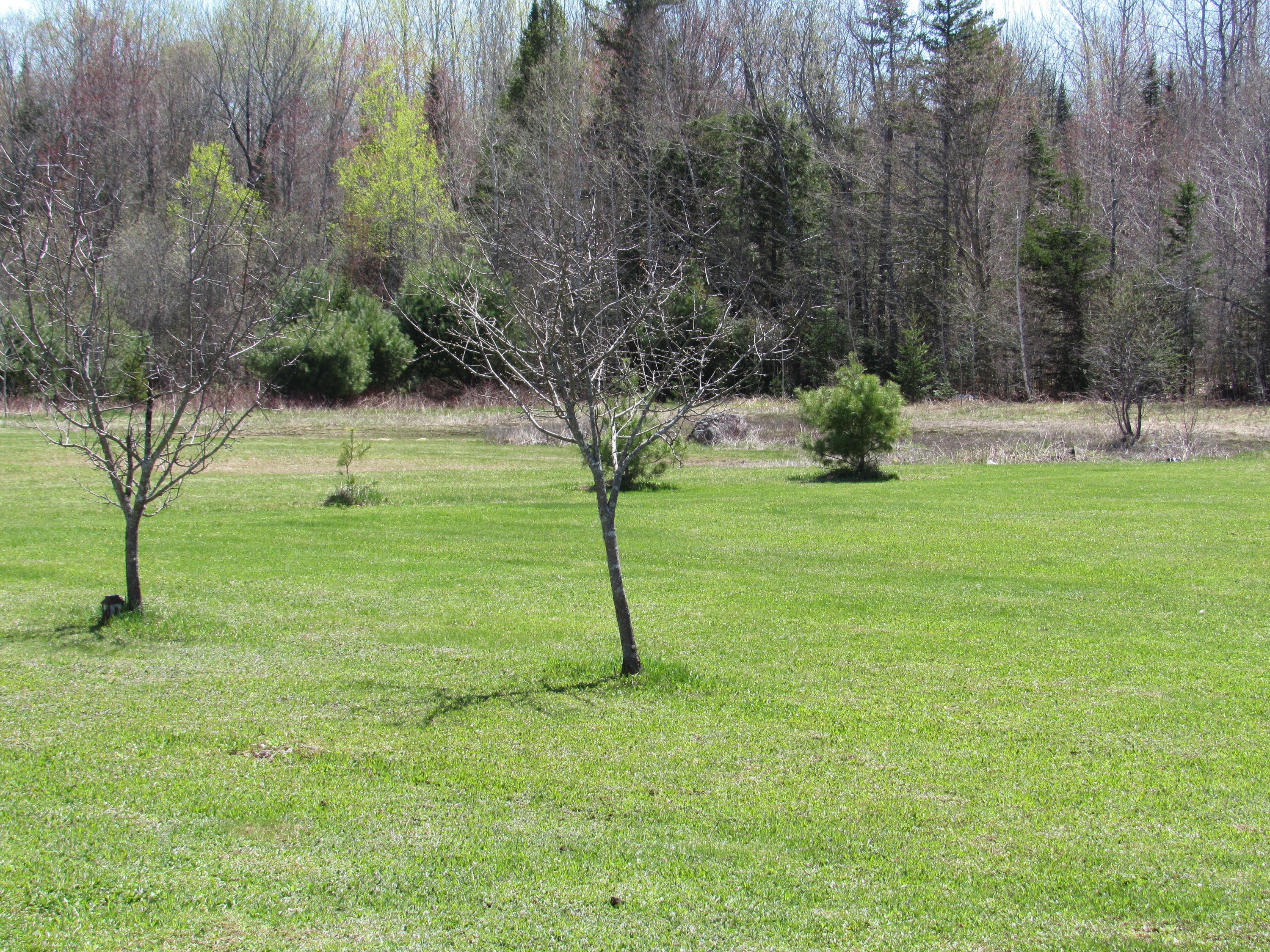 103 Hudson Road Corinth, ME 04427 - Photo 39 of 44 IMG_5336