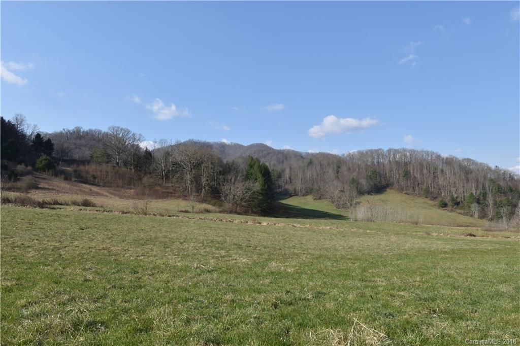 366 Poplar Cove Road Clyde, NC 28721 - Photo 8 of 10