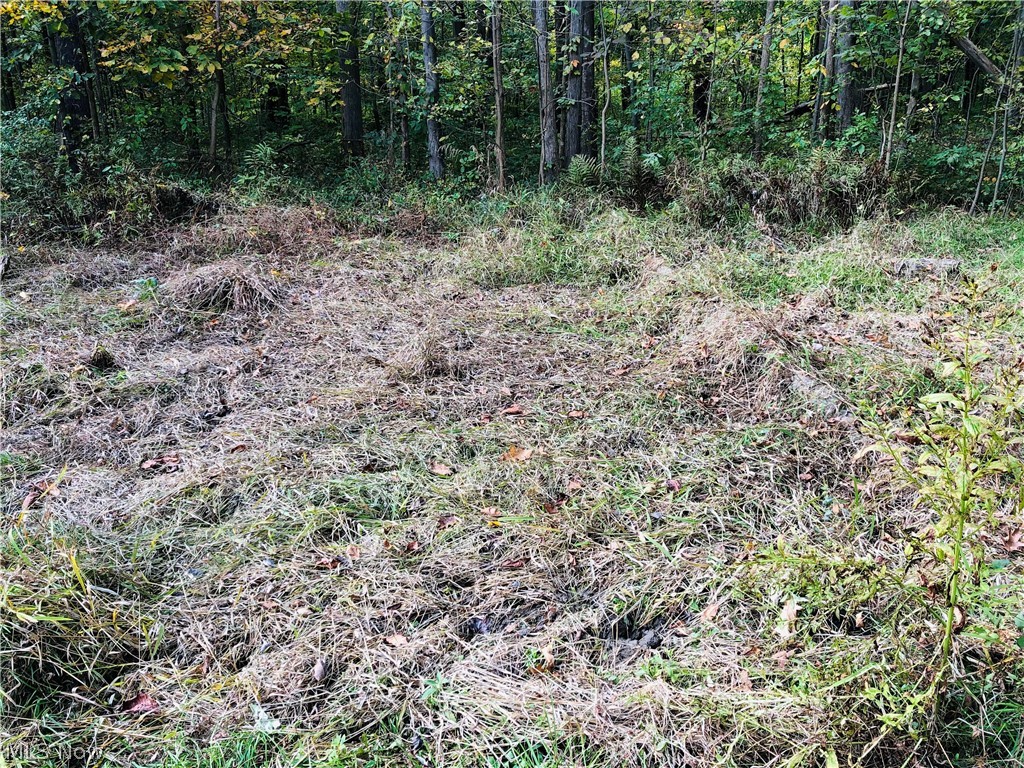 Forman Road Ashtabula, OH 44004 - Photo 15 of 28 Gallery Image 15