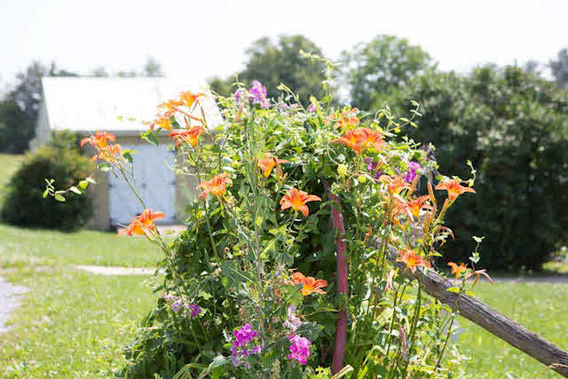 37 Independent Road Elkton, VA 22827 - Photo 13 of 14 Gallery Image 13