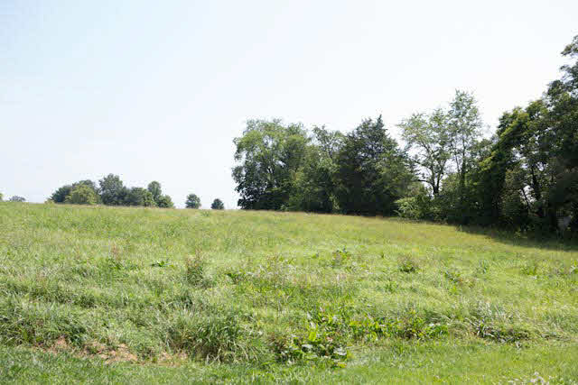 37 Independent Road Elkton, VA 22827 - Photo 5 of 14 Gallery Image 5