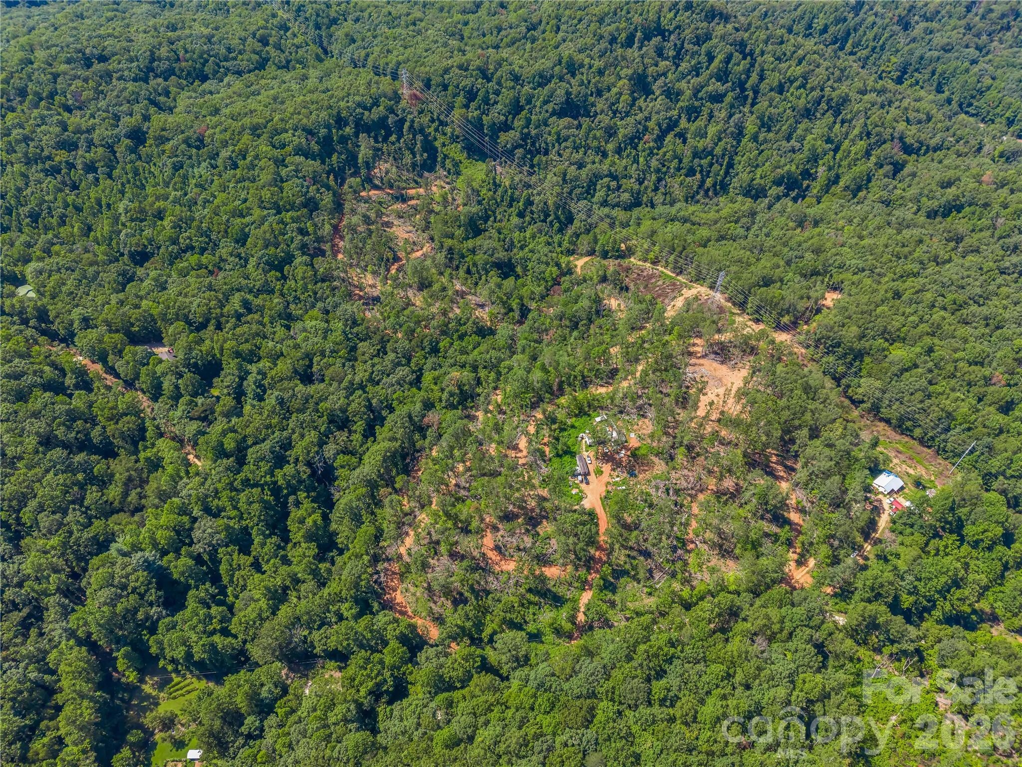Tbd Early Road Saluda, NC 28773 - Photo 20 of 35 Gallery Image 20