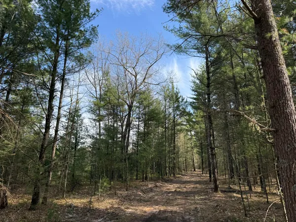 $189,000 | Parcel D Critter Trail, Manistee, MI 49660