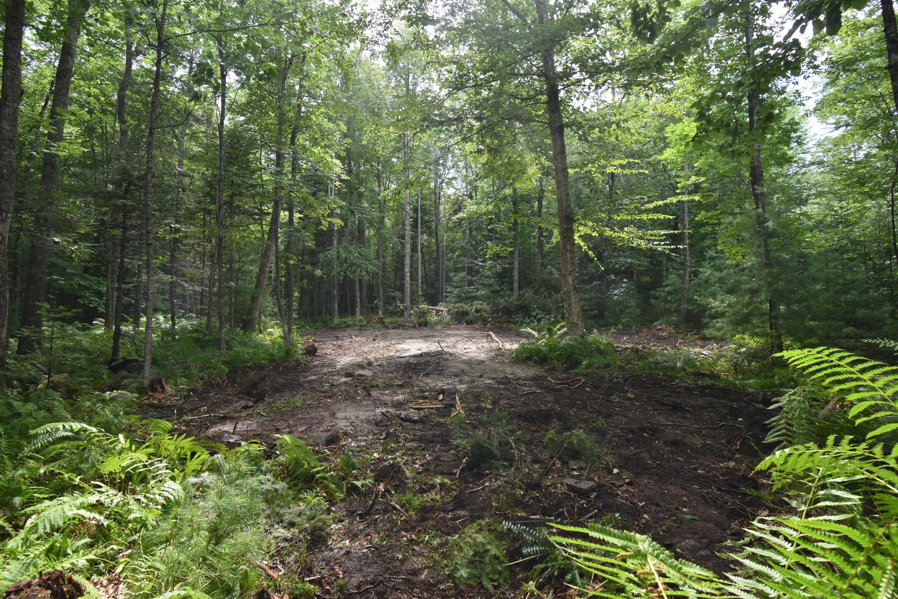 0 Winthrop Road Readfield, ME 04355 - Photo 64 of 69 DSC_0618