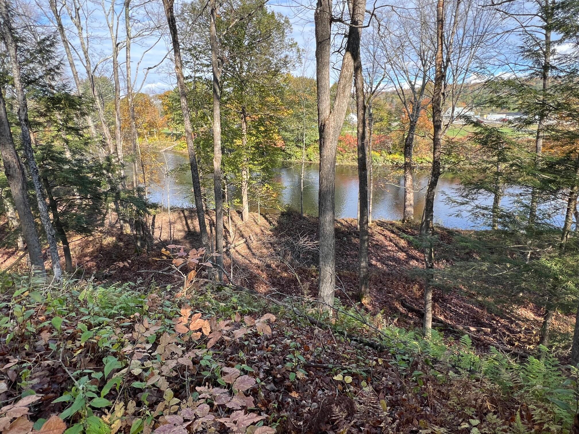 18 Riverside Terrace Guilford, ME 04443 - Photo 32 of 32 18 Riverside - river pic