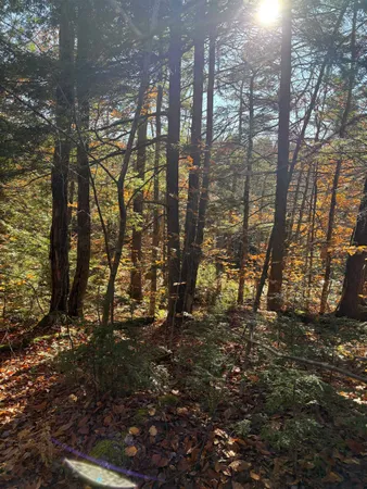 $50,000 | Lot 77-7 East Washington Road, Washington, NH 03280