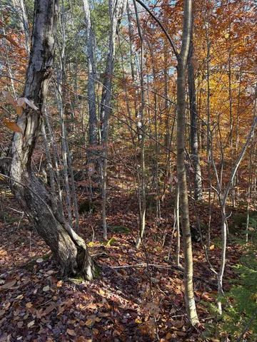 $50,000 | East Washington Road, Washington, NH 03280