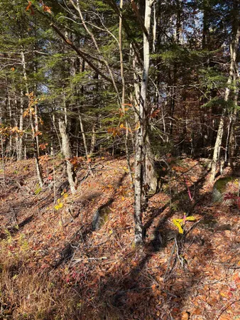 $50,000 | Lot 77-7 East Washington Road, Washington, NH 03280