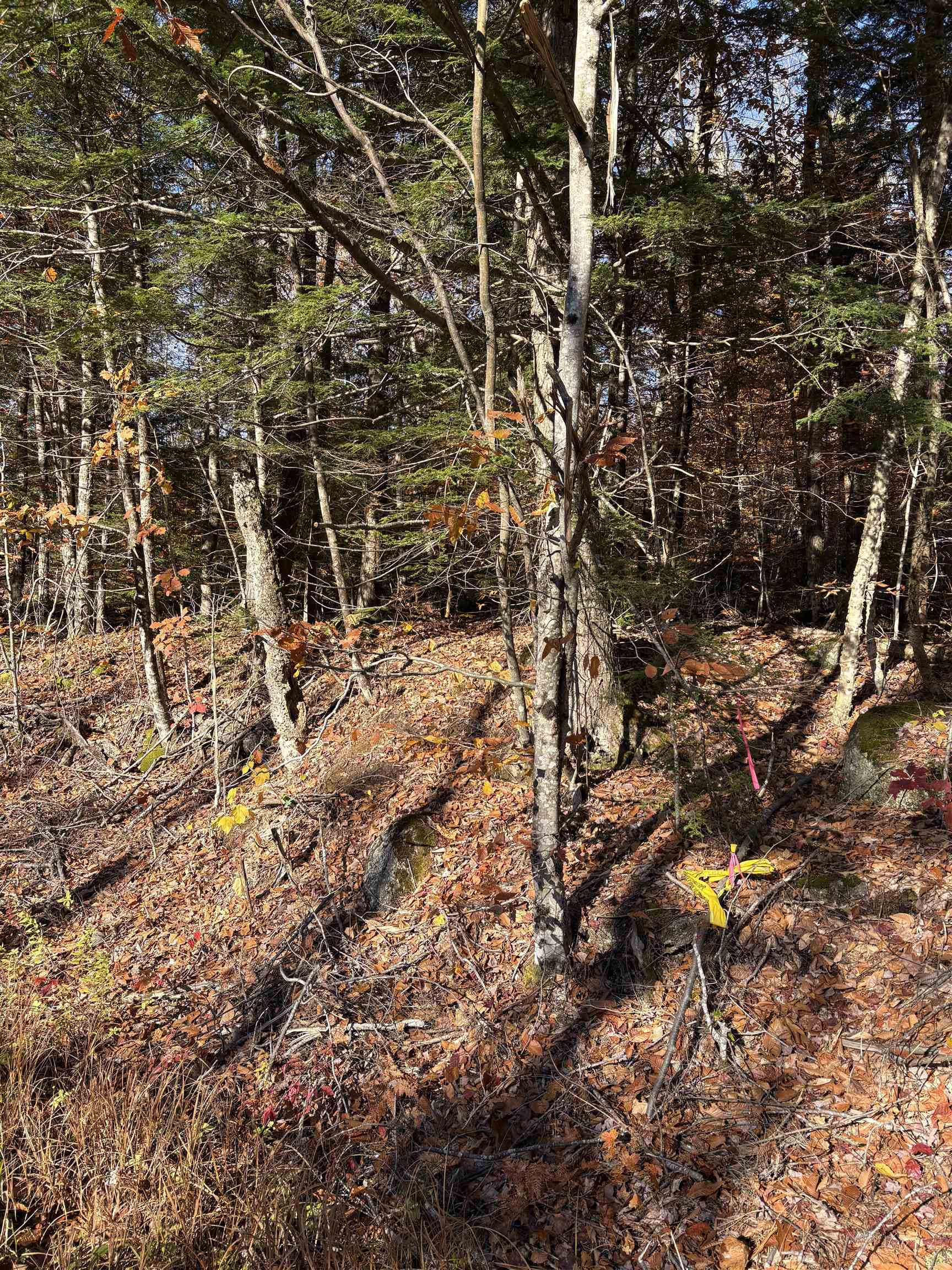 Lot 77-7 East Washington Road Washington, NH 03280 - Photo 5 of 6
