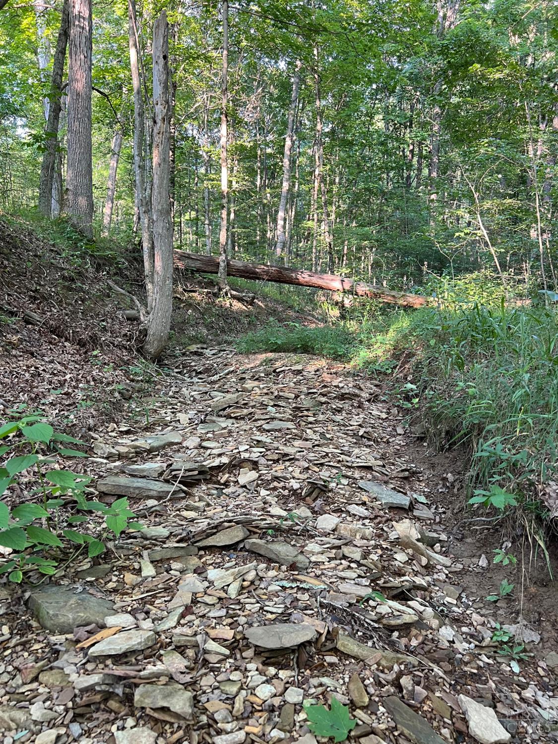 0 Tabernacle Road Chillicothe, OH 45601 - Photo 29 of 64