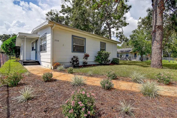 a view of a park with large trees