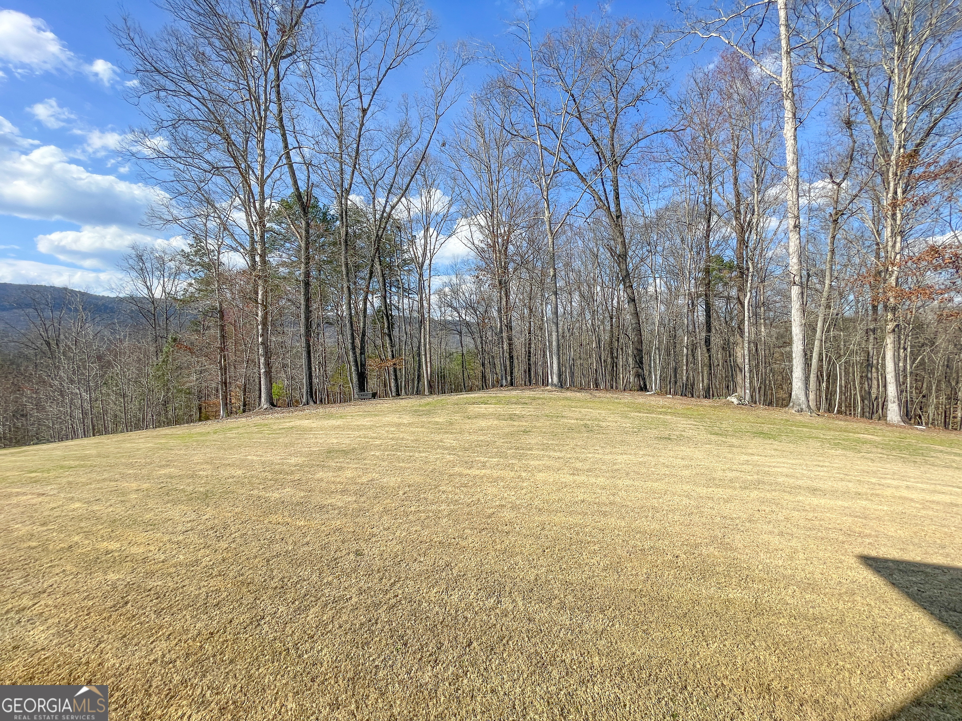 39 Acres On E Teloga Road Summerville, GA 30747 - Photo 34 of 50 a swimming pool with trees in front of it