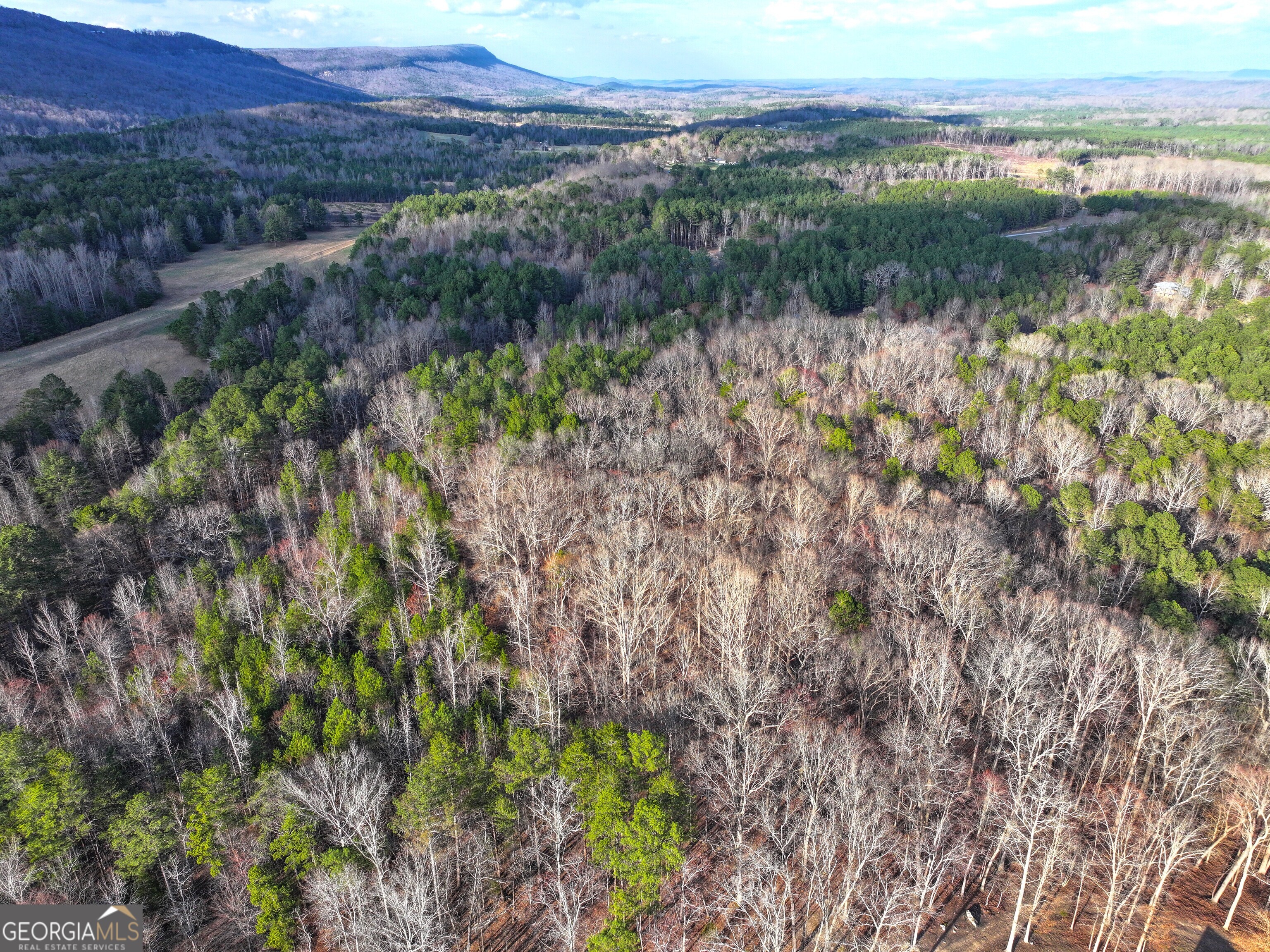 39 Acres On E Teloga Road Summerville, GA 30747 - Photo 44 of 50 a view of a lake with a mountain and a forest