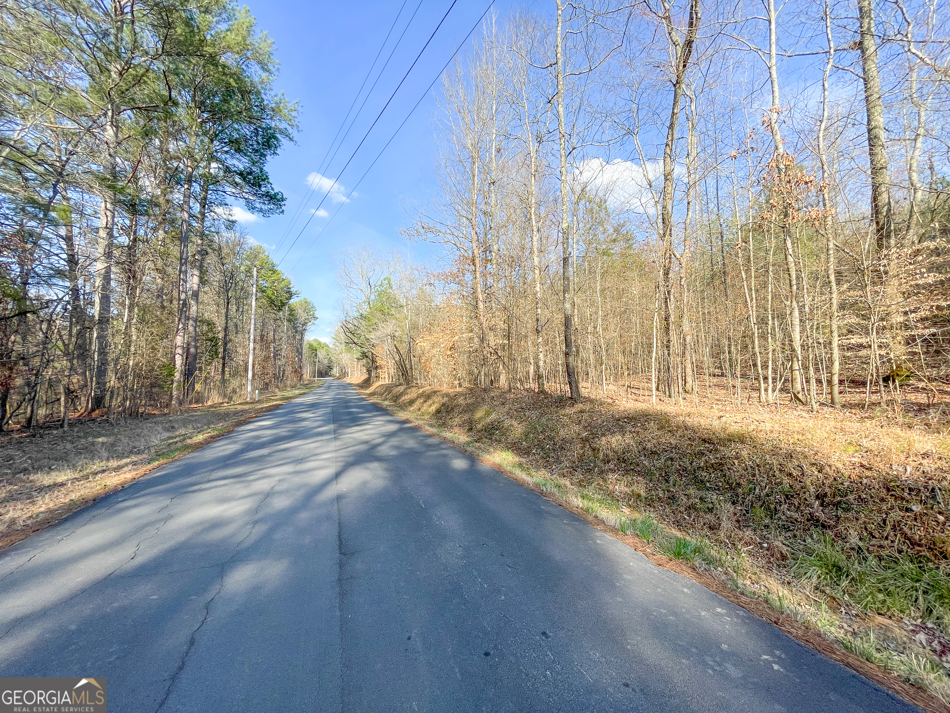 39 Acres On E Teloga Road Summerville, GA 30747 - Photo 45 of 50 a view of a backyard of the house