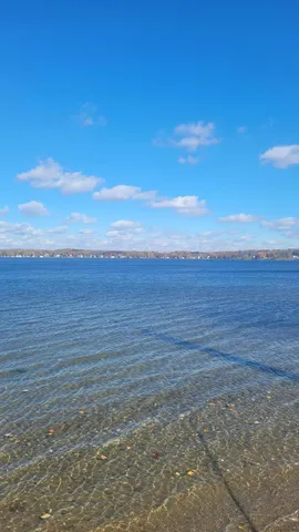 $1,595,000 | 3953 Woerner Road, Manitou Beach, MI 49253