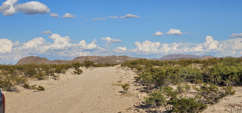 403 East Este Road Alpine, TX 79830 - Photo 7 of 32 Gallery Image 7