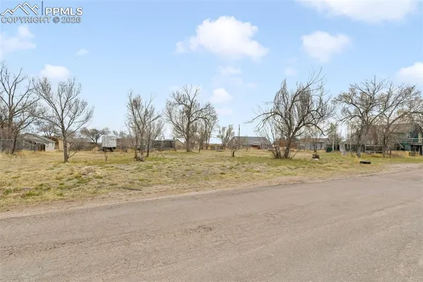 a view of large yard with large trees