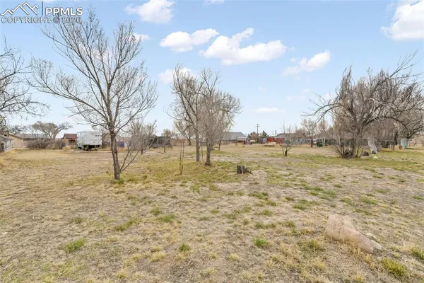 a view of a yard with trees