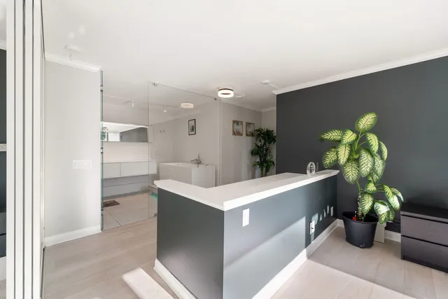 a living room with furniture and potted plant