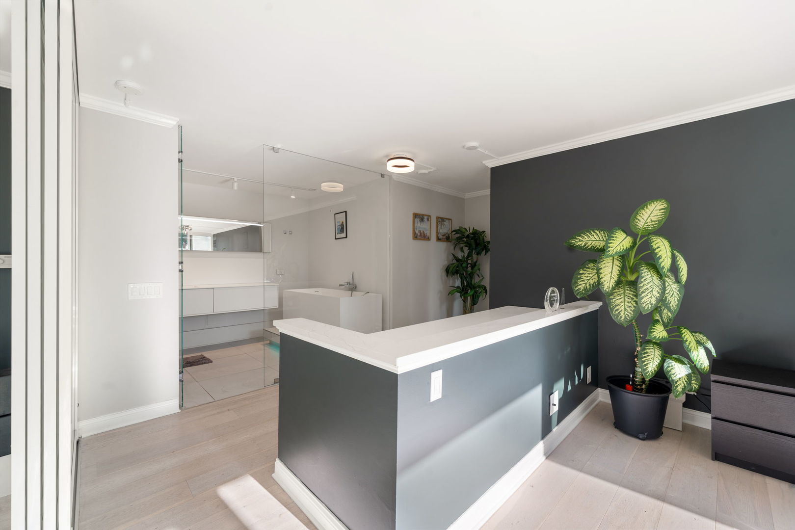 1516 North State Parkway, Unit 5D Chicago, IL 60610 - Photo 17 of 34 a living room with furniture and potted plant
