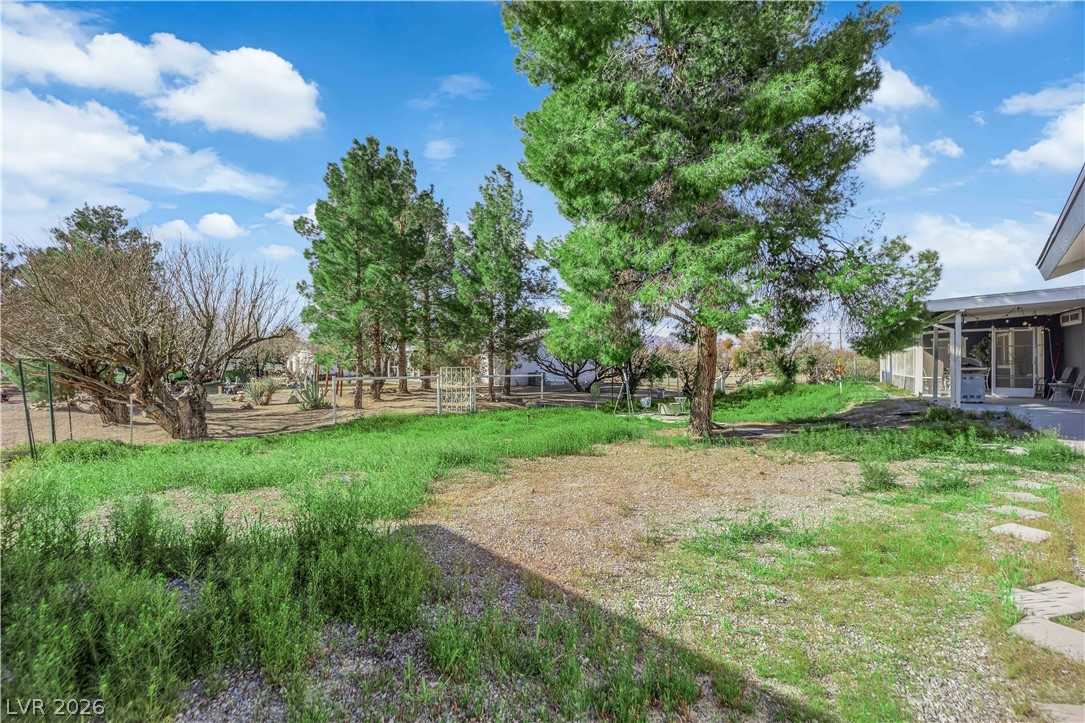 3331 South Blagg Road Pahrump, NV 89048 - Photo 39 of 52