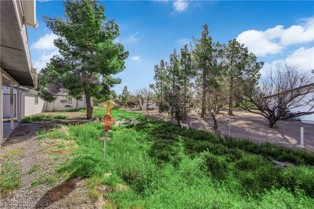 3331 South Blagg Road Pahrump, NV 89048 - Photo 44 of 52