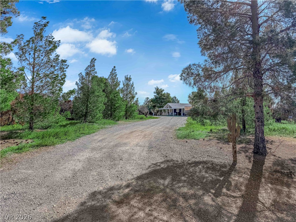 3331 South Blagg Road Pahrump, NV 89048 - Photo 49 of 52