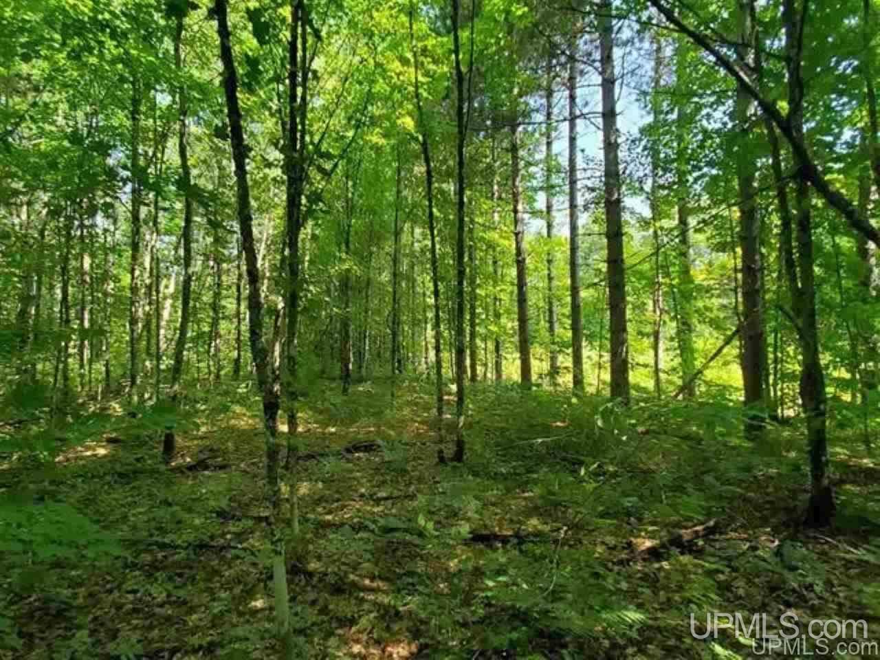 Tbd No 2-3 4 Obenhoff Road Atlantic Mine, MI 49905 - Photo 28 of 32