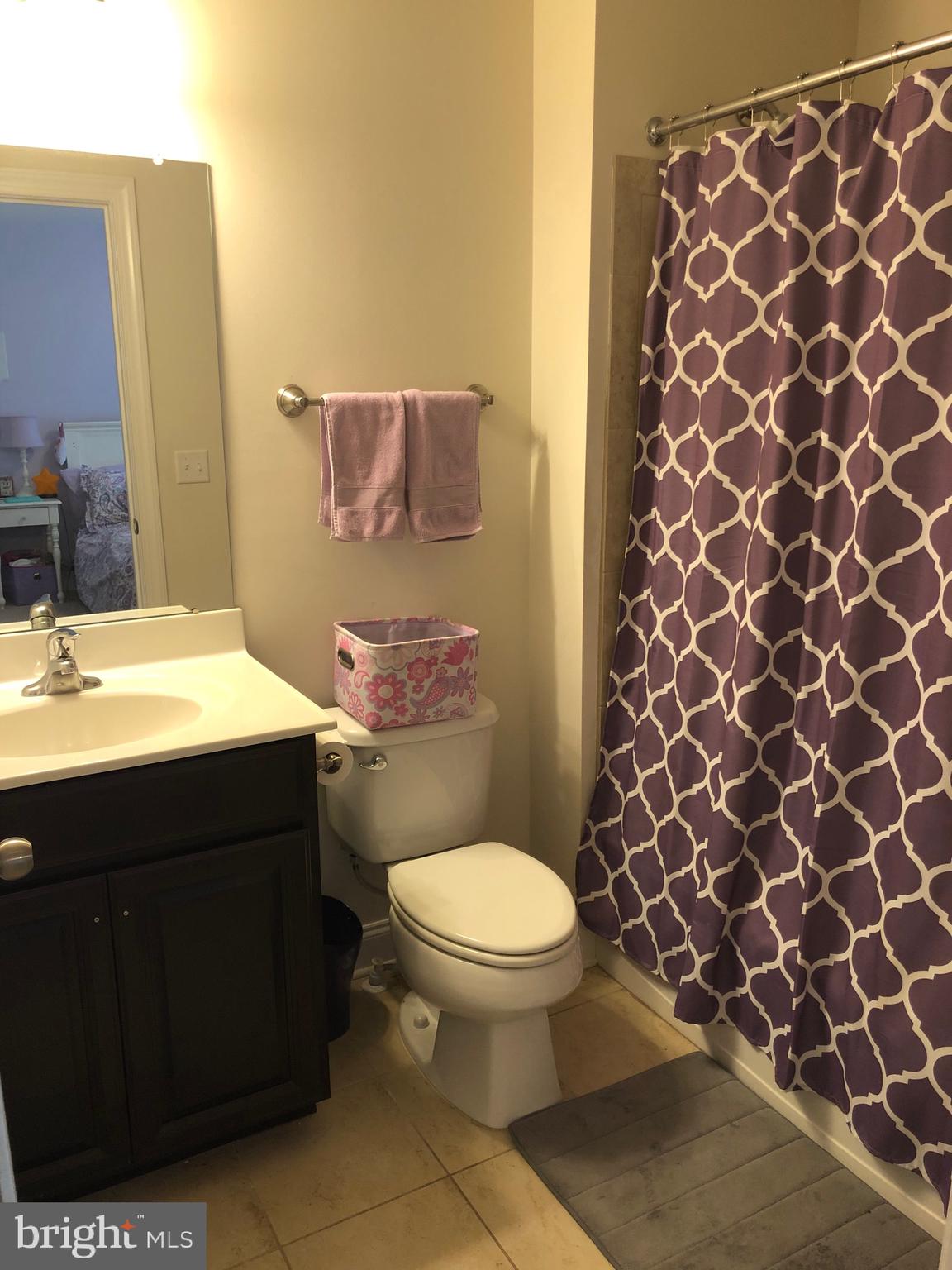 372 Old York Road Hamilton, NJ 08620 - Photo 32 of 51 Princess Suite Bathroom