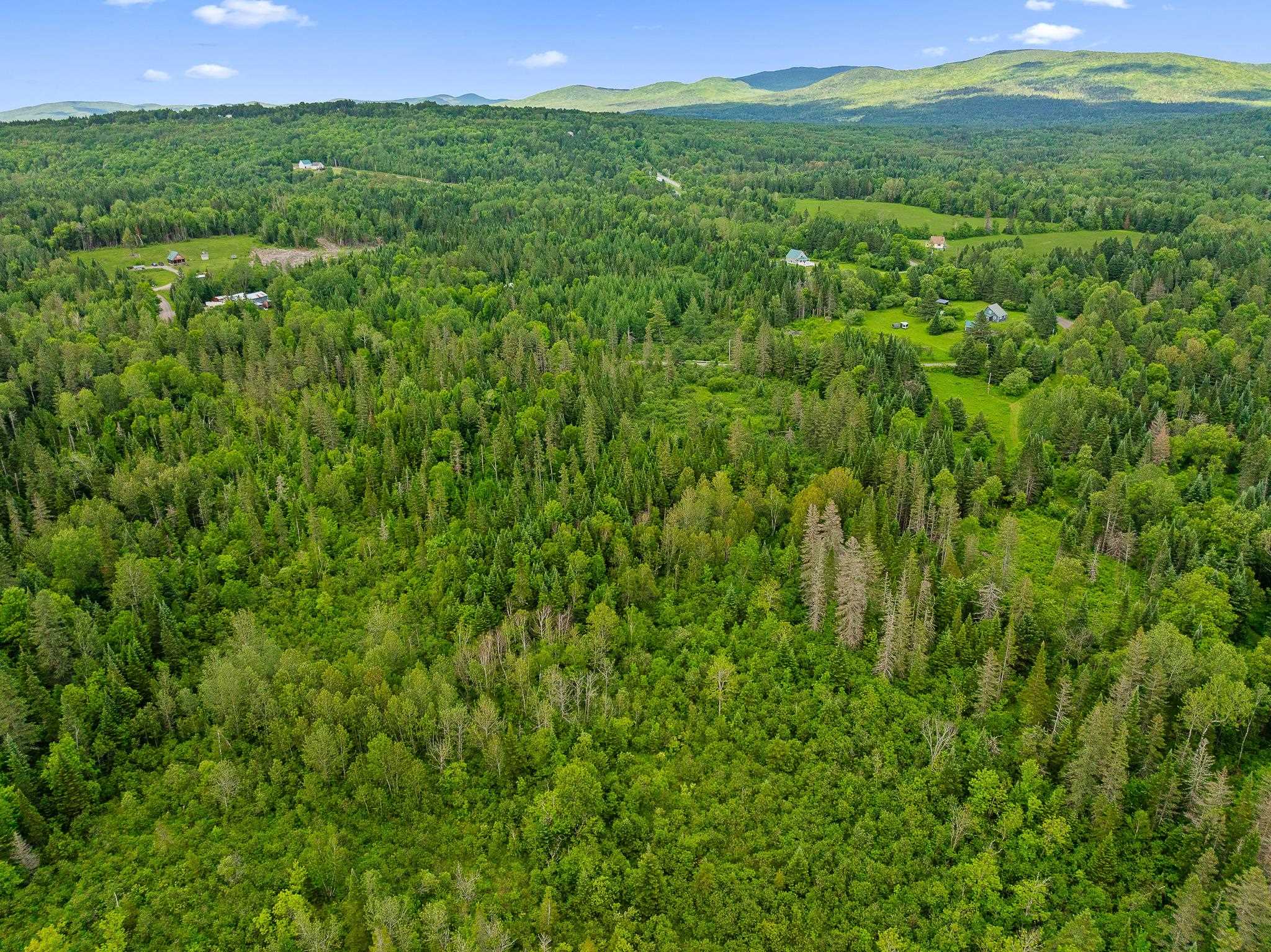 354 Gray Road Columbia, NH 03576 - Photo 23 of 37