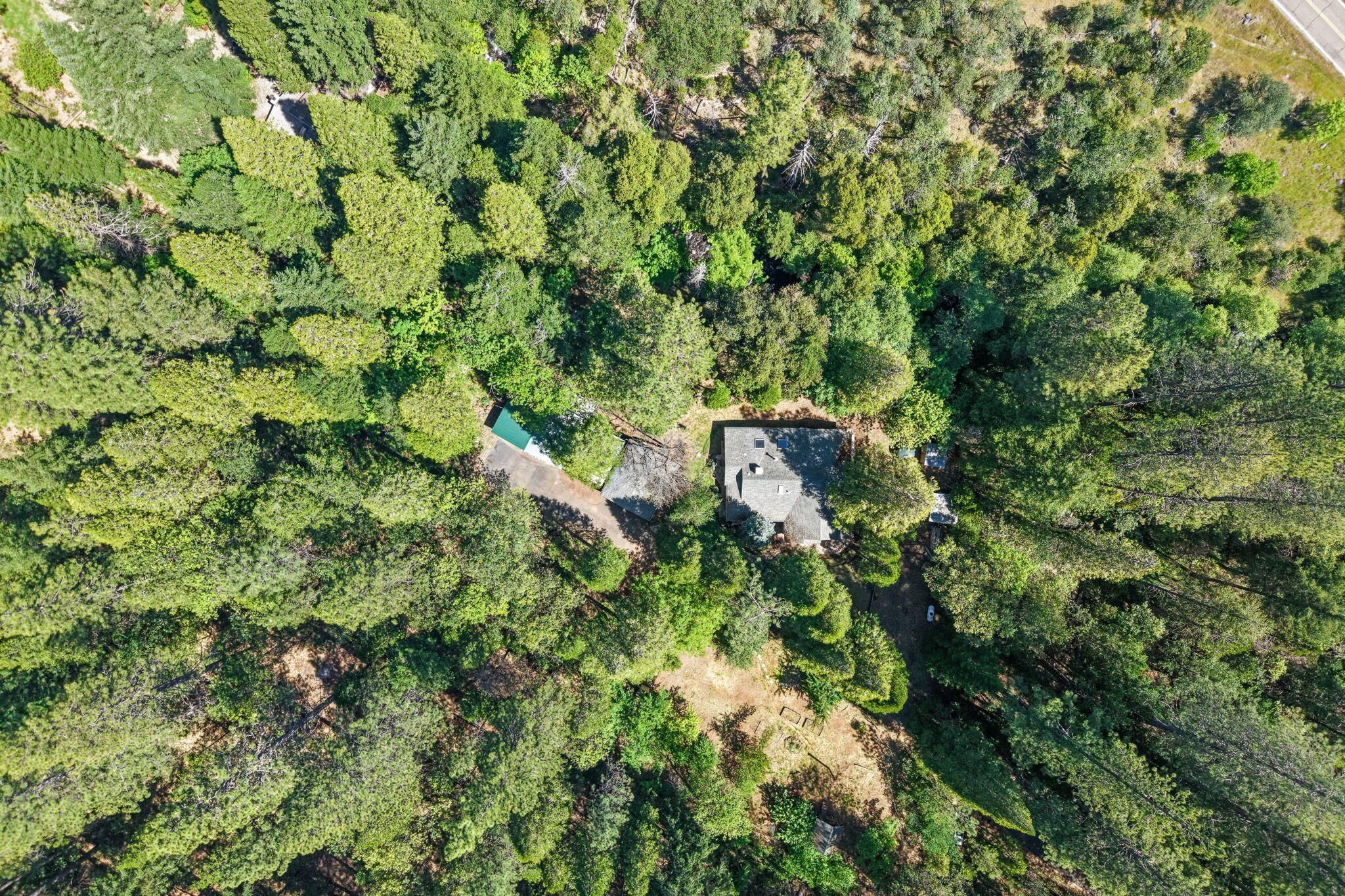 30303 Oak Run To Fern Road Whitmore, CA 96096 - Photo 72 of 75 a view of a forest