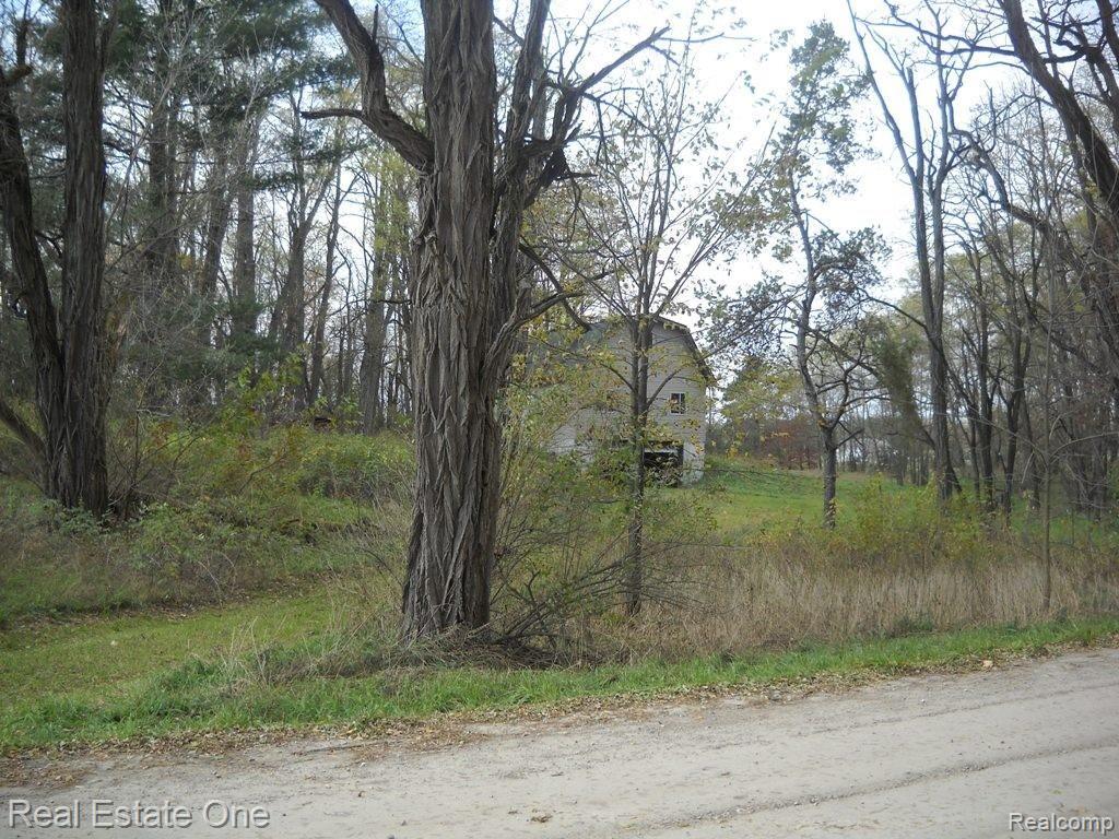 10033 Byron Road Howell, MI 48855 - Photo 2 of 19