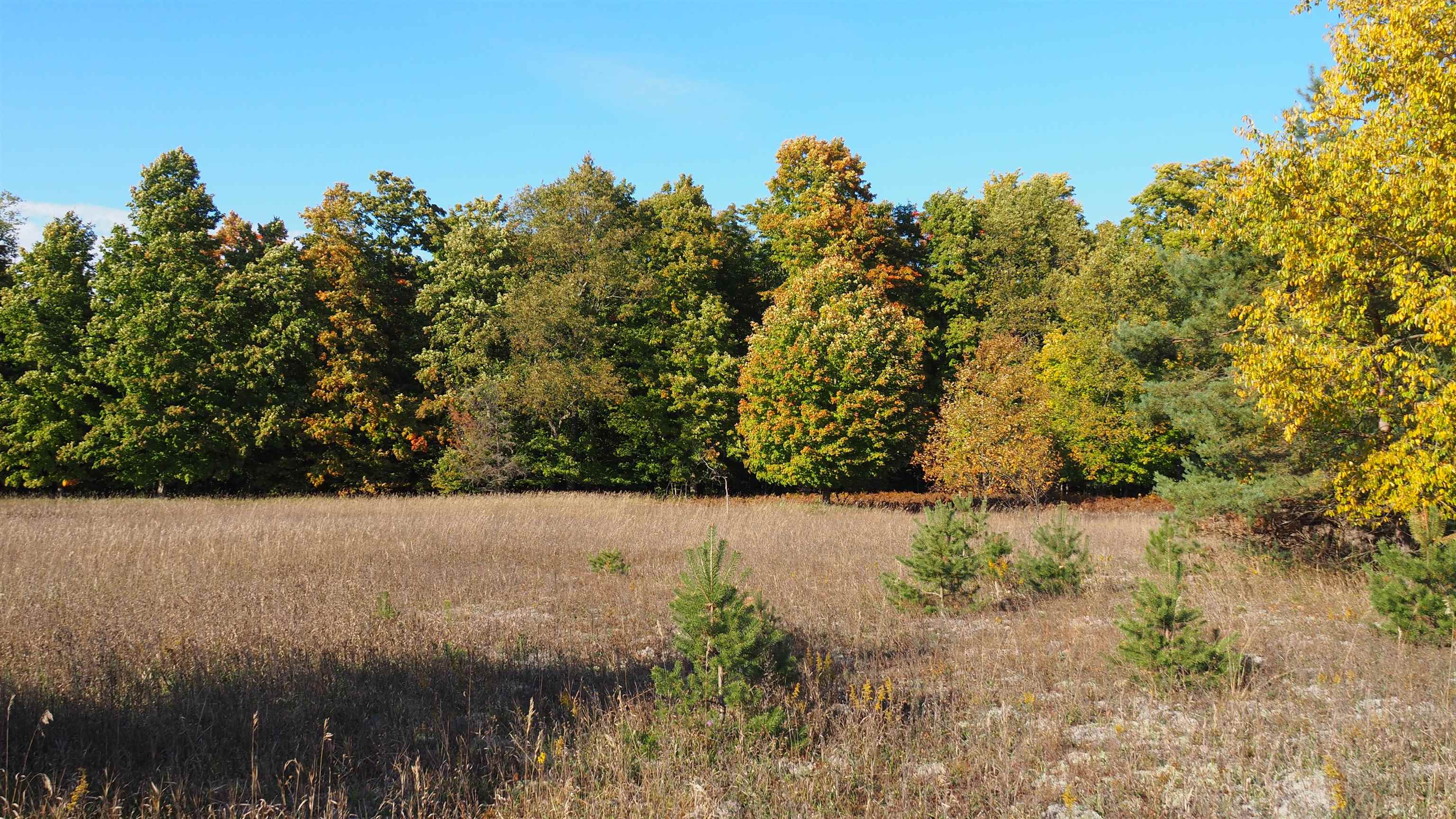7478 Way Road Honor, MI 49640 - Photo 28 of 48 1905640-27.JPG