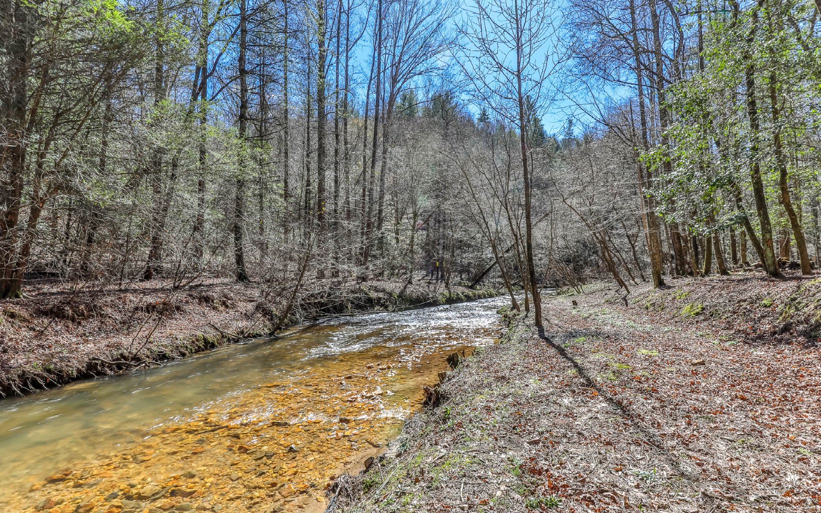 627 Walker Ridge Ellijay, GA 30540 - Photo 50 of 57 Additional View