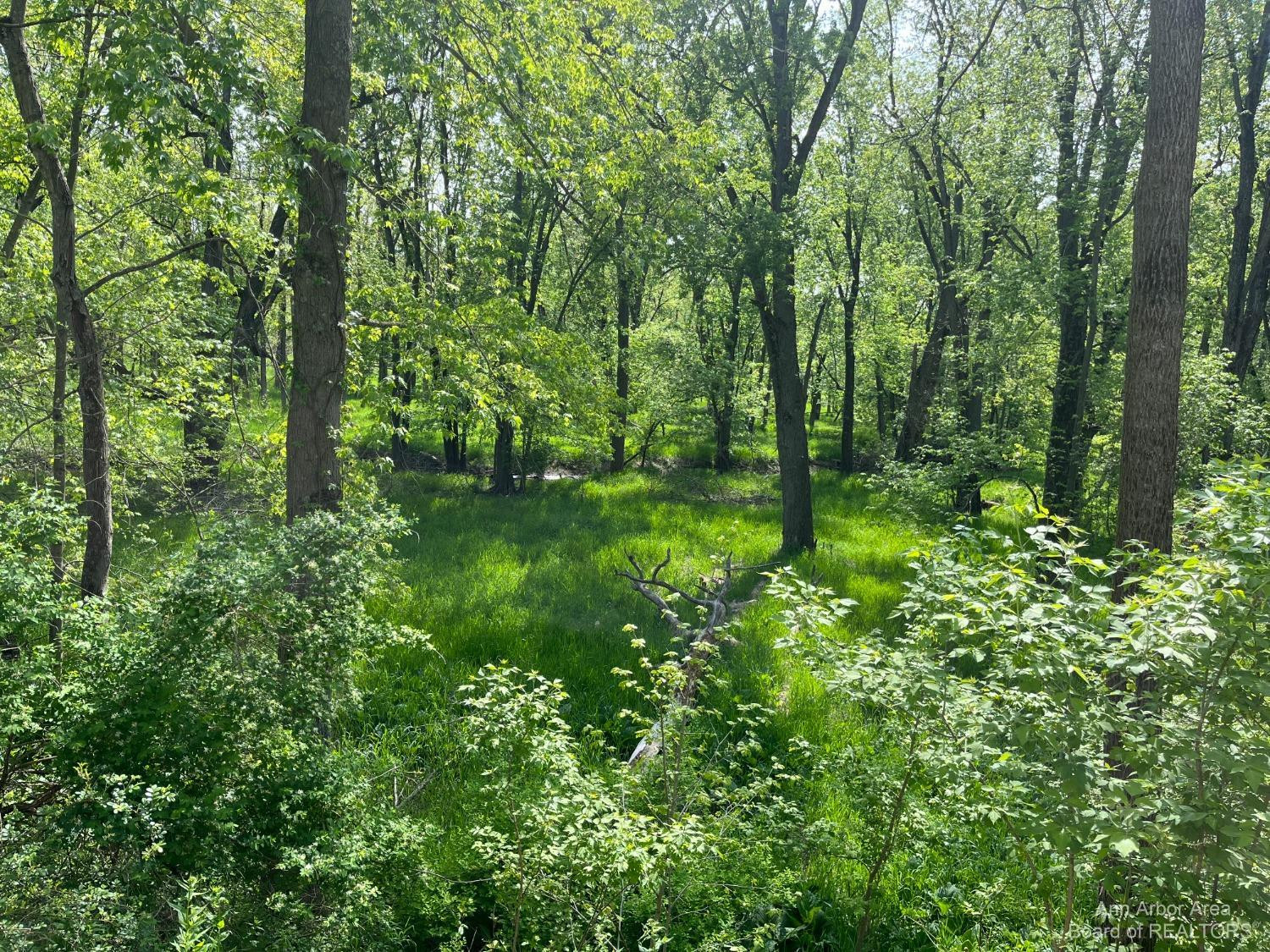 2025 Baker Road Dexter, MI 48130 - Photo 33 of 40 Photo 33
