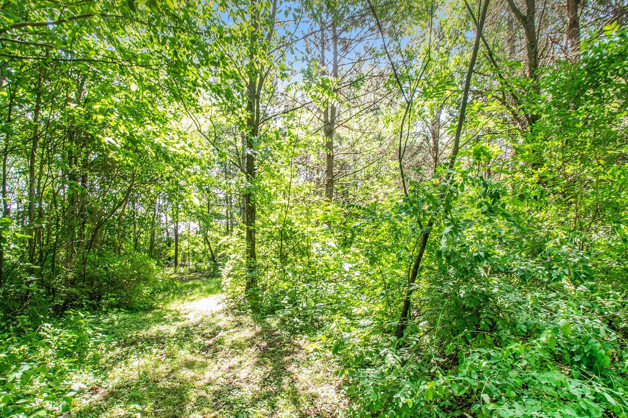 0 Airport Road Niles, MI 49120 - Photo 3 of 4 1304 Airport woods