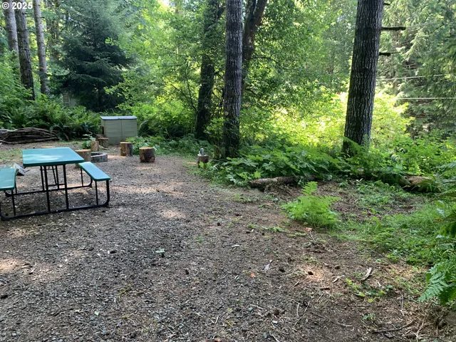 a view of backyard with green space