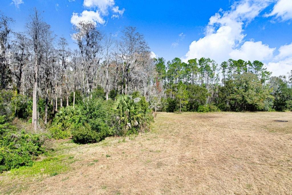 17308 Tobacco Road Lutz, FL 33558 - Photo 33 of 43 Gallery Image 33