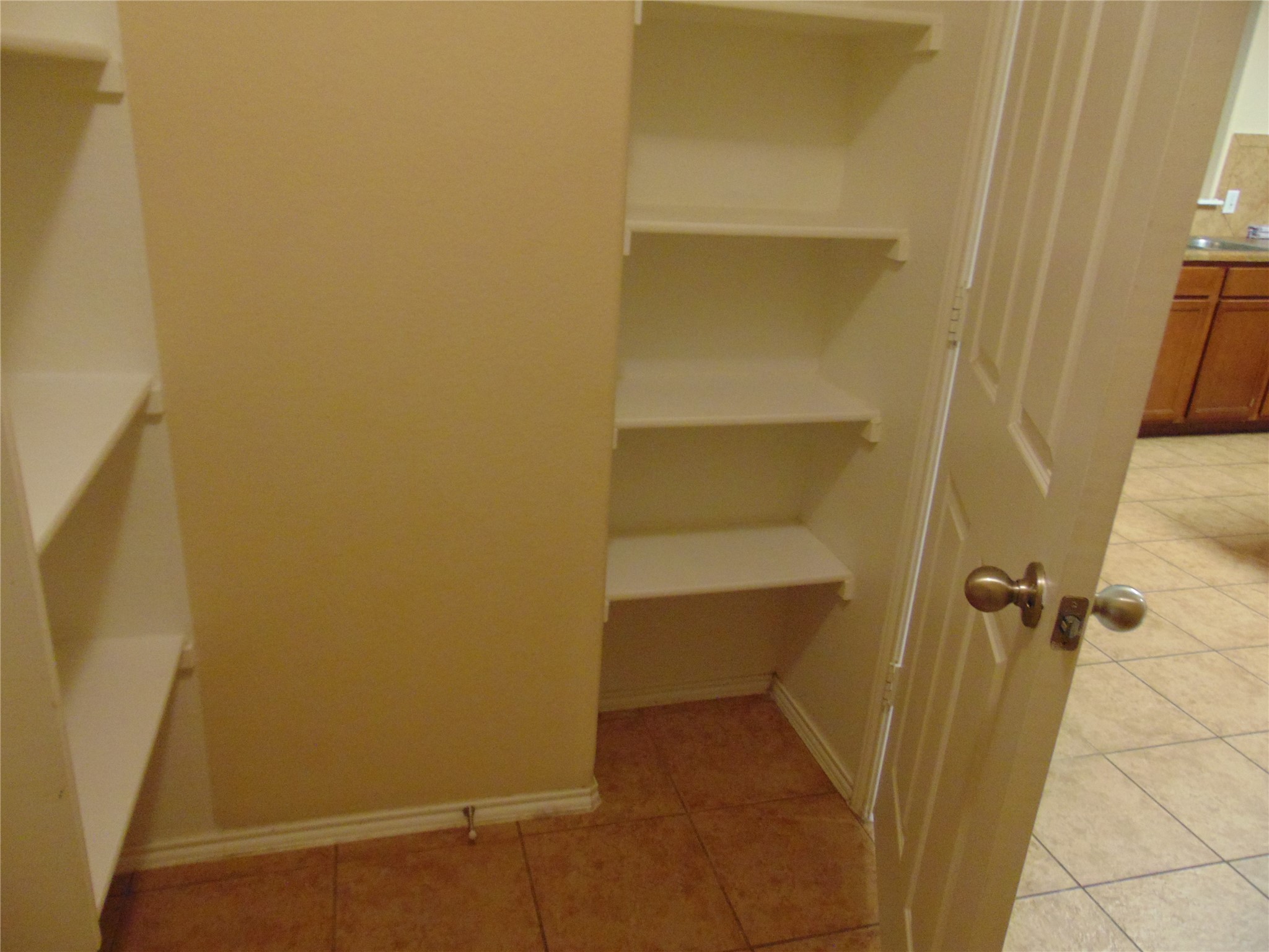 251 Wolfberry Path Buda, TX 78610 - Photo 7 of 17