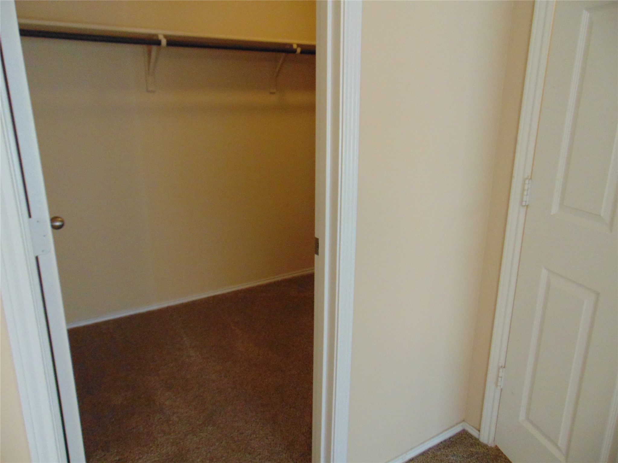 251 Wolfberry Path Buda, TX 78610 - Photo 9 of 17 a view of small space