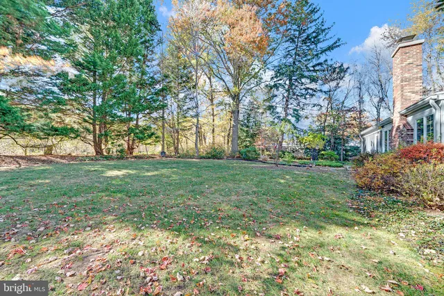 a view of a park that has large trees