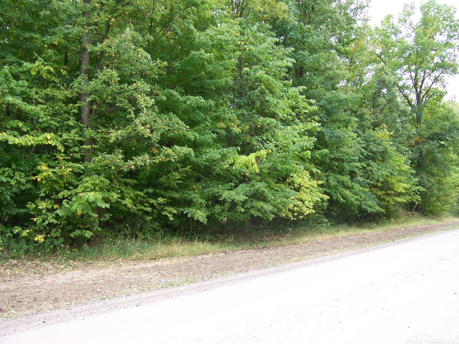0 Cochrane Road Allenton, MI 48002 - Photo 4 of 4