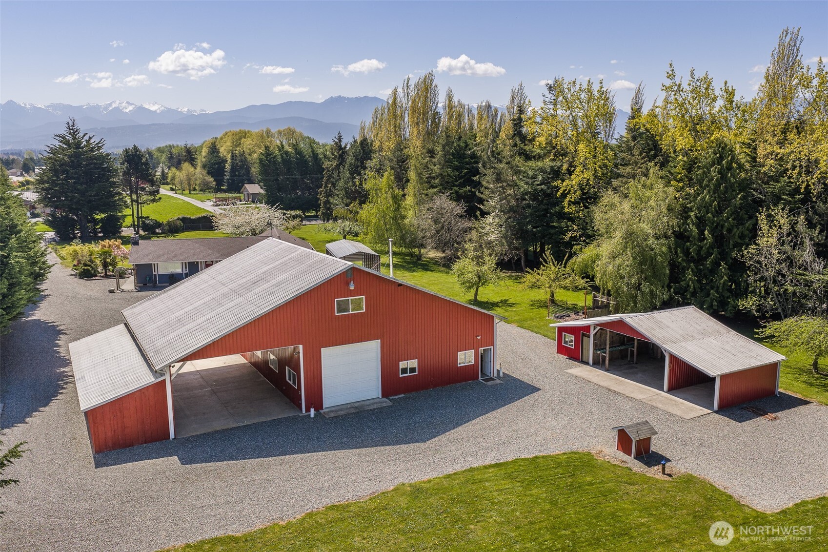 113 Gold Dust Lane Sequim, WA 98382 - Photo 30 of 40 a view of a big yard with potted plants and a large tree