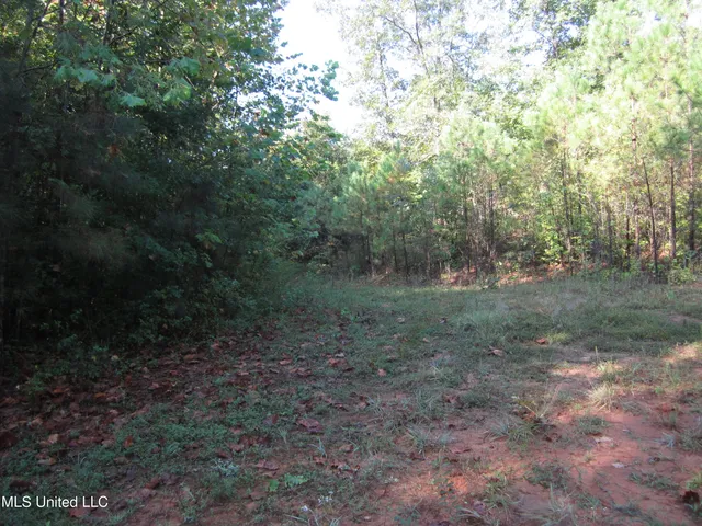 $89,500 | 301 Cr Walnut Ms 38683, Tiplersville, MS 38674