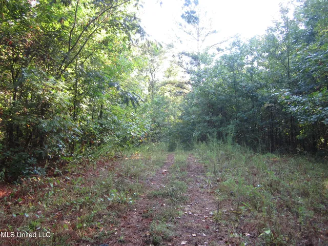 $89,500 | 301 Cr Walnut Ms 38683, Tiplersville, MS 38674